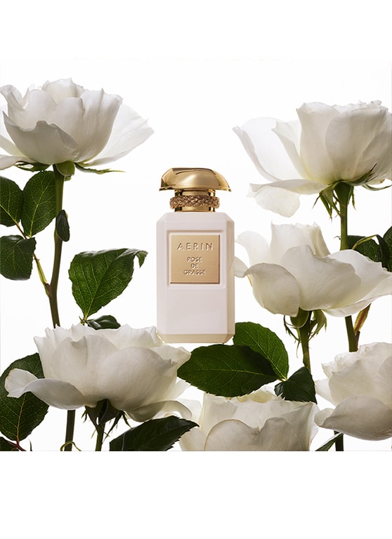profumo aerin rose de grasse